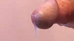 GIFs - Ejaculation Penis